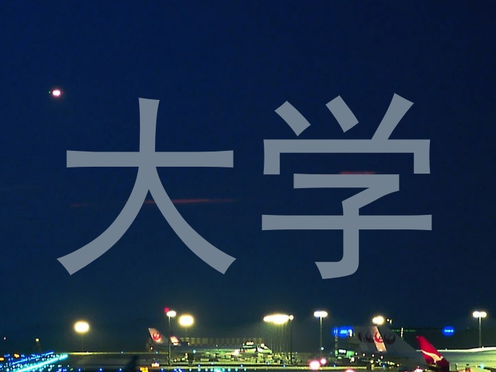 大学
