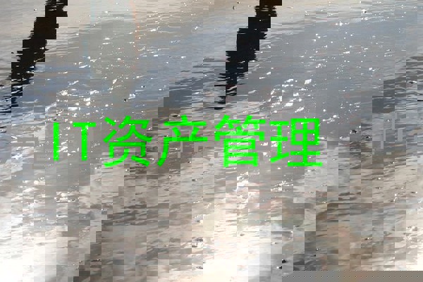 IT资产管理