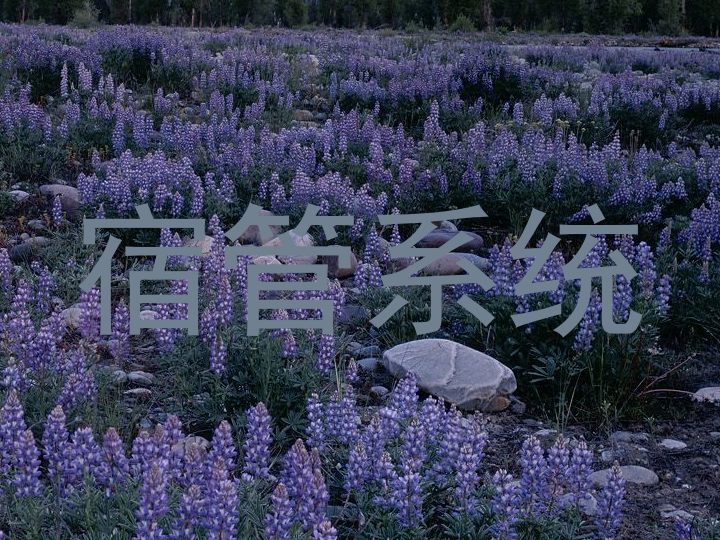 宿管系统