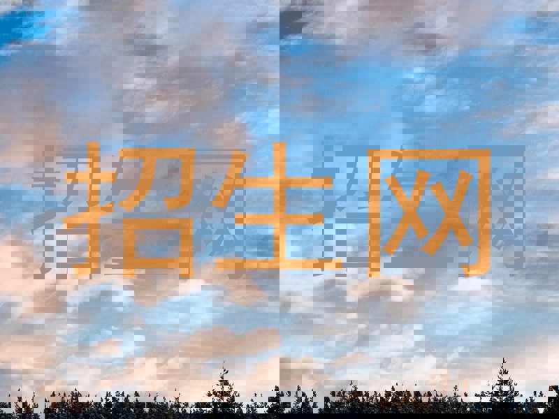 招生网