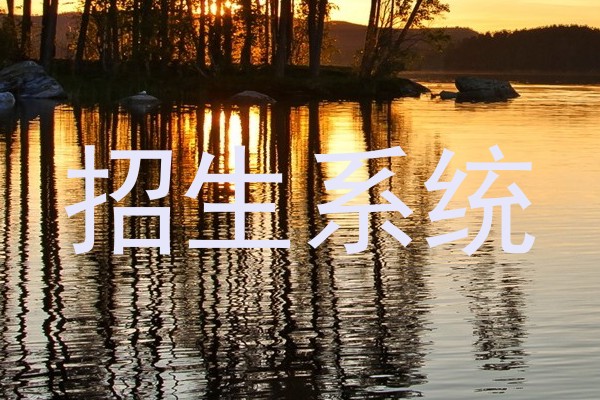 招生系统