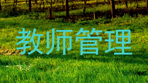 教师管理