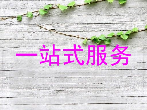 一站式服务