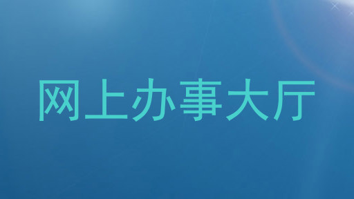 网上办事大厅
