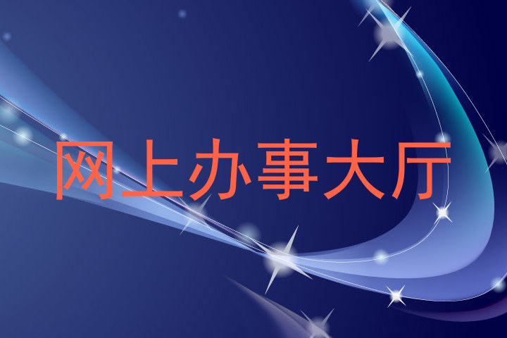 网上办事大厅