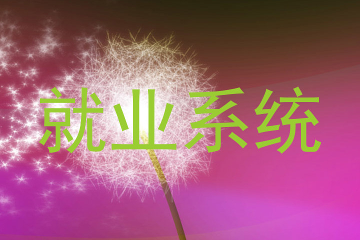 就业系统