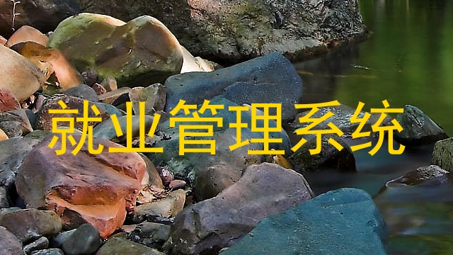 就业管理系统