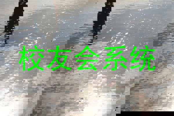 校友会系统