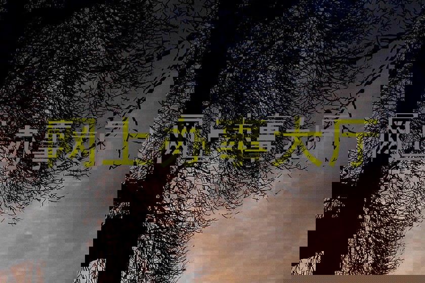 网上办事大厅