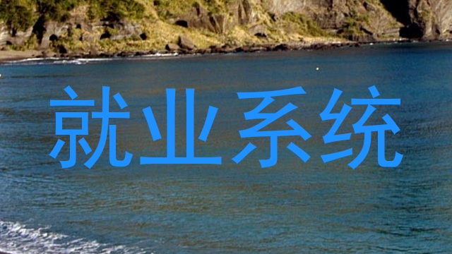就业系统