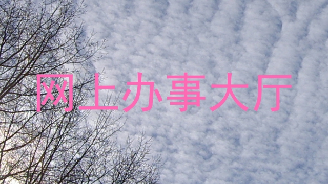 网上办事大厅