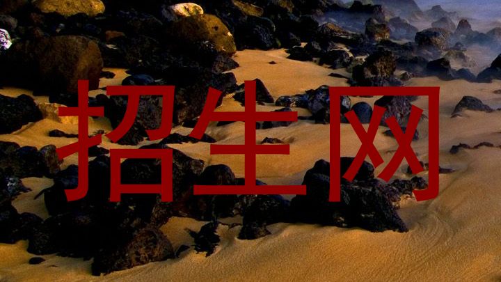 招生网