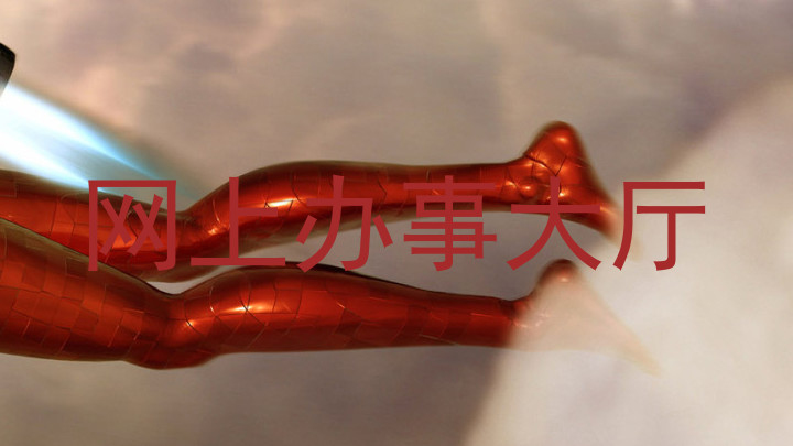 网上办事大厅