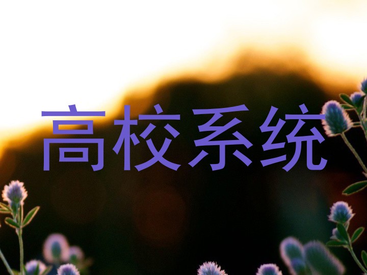 高校系统