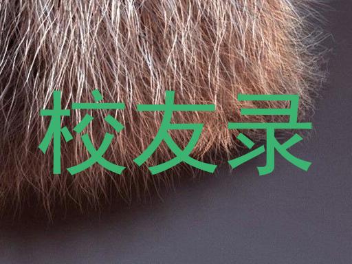 校友录