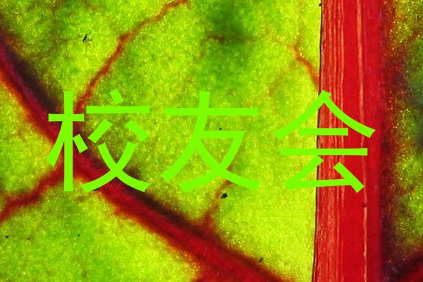 校友会