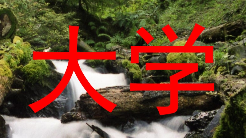 大学