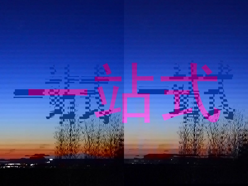 一站式