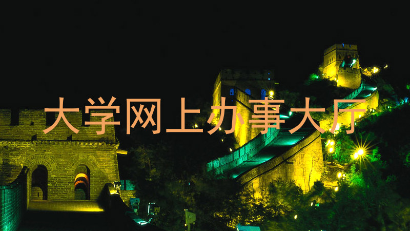 大学网上办事大厅