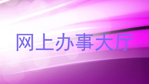 网上办事大厅