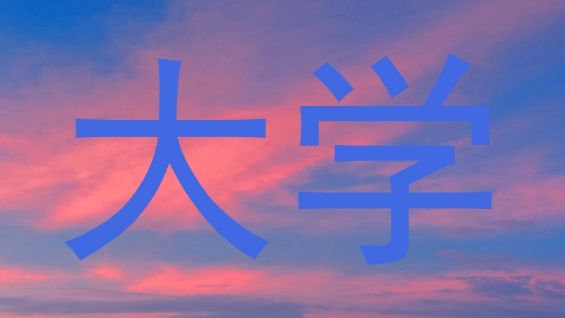 大学