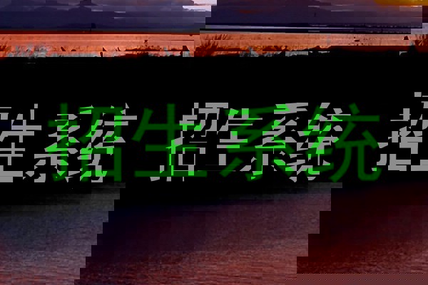 招生系统