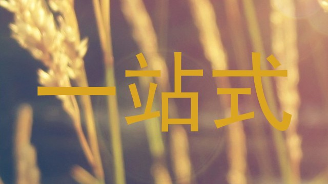 一站式