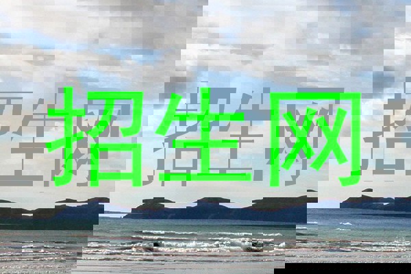 招生网