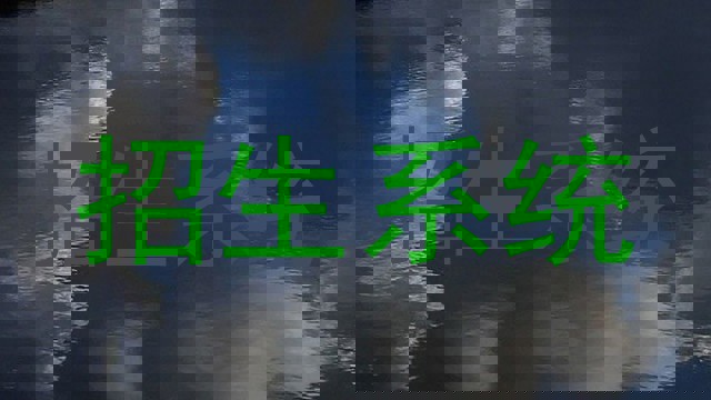 招生系统
