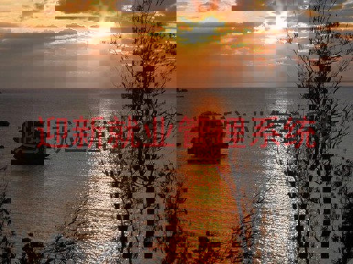 迎新就业管理系统