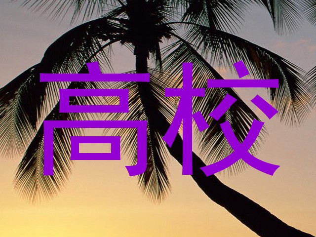 高校