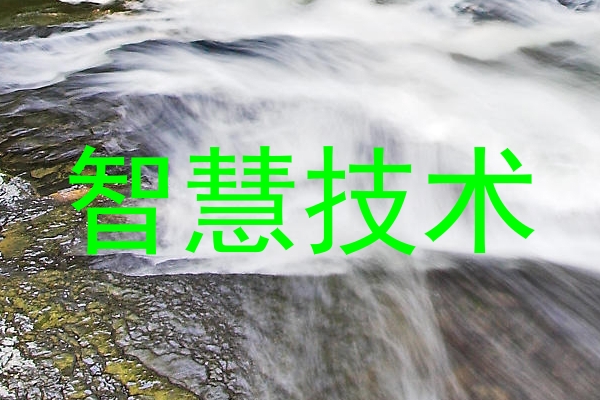 智慧技术