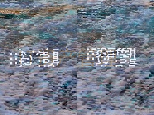 IT资产管理