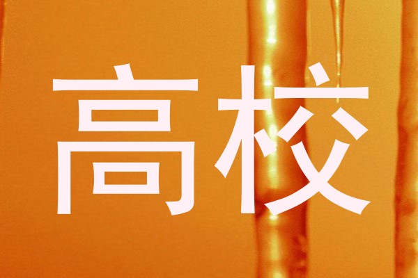 高校