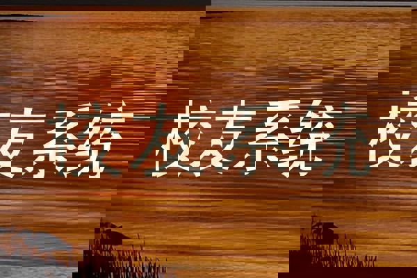 校友系统
