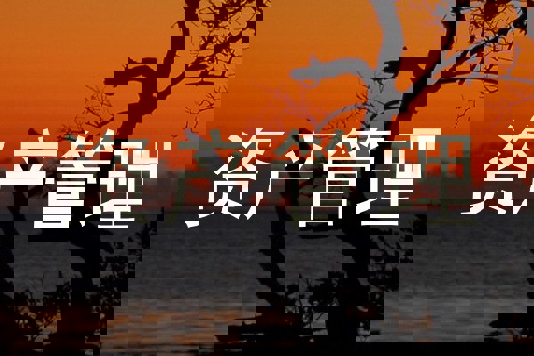 资产管理