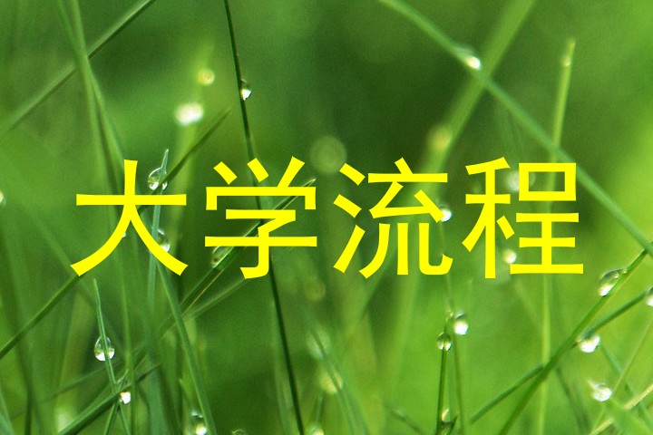 大学流程