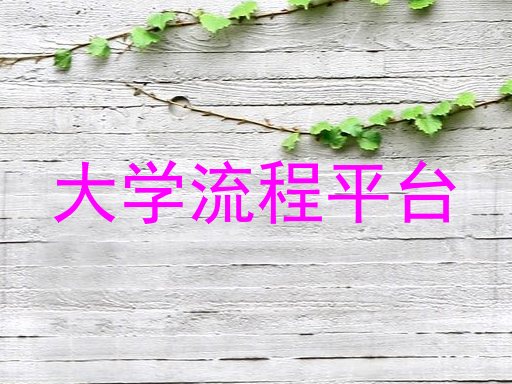 大学流程平台