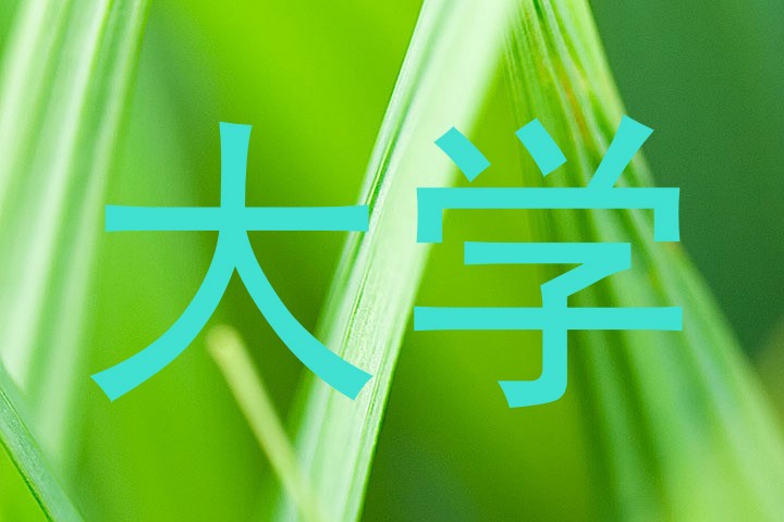 大学