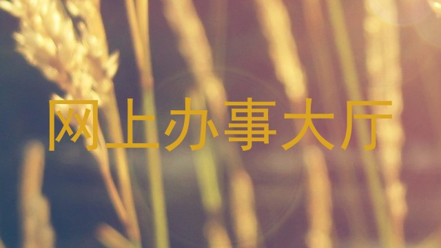 网上办事大厅