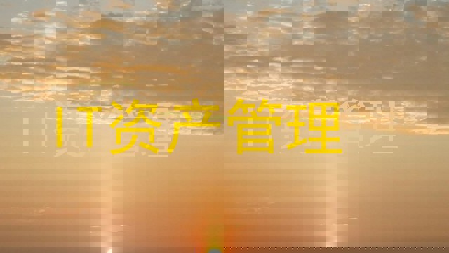 IT资产管理