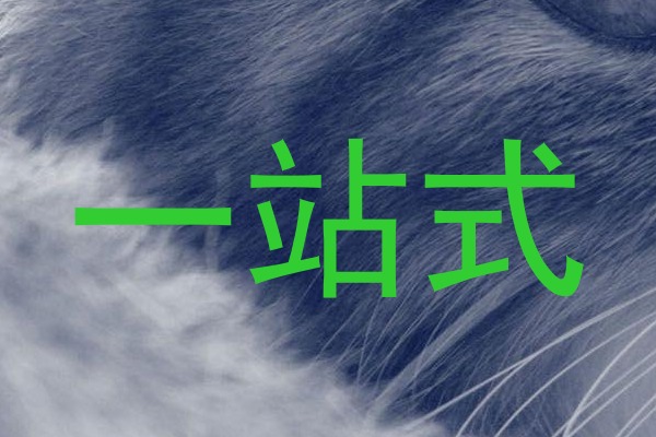 一站式