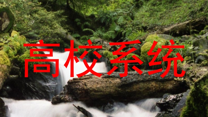 高校系统
