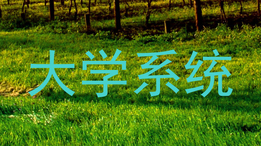 大学系统