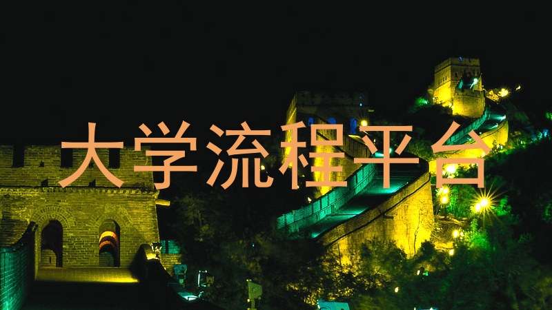 大学流程平台