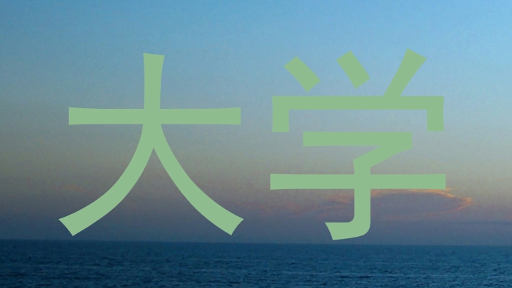 大学