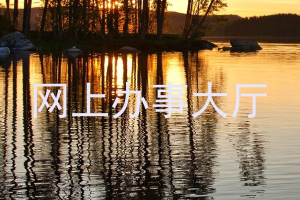 网上办事大厅