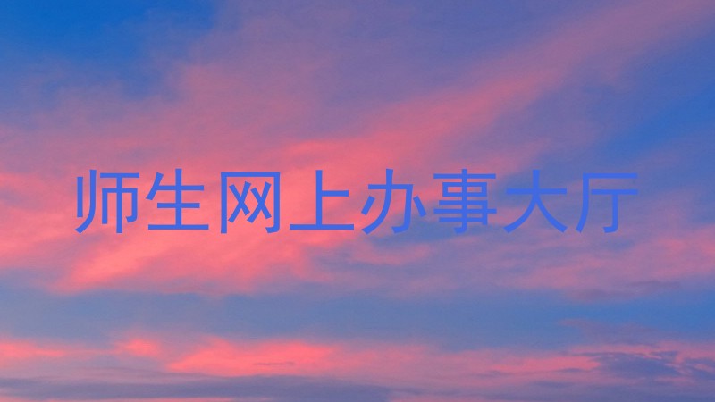 师生网上办事大厅