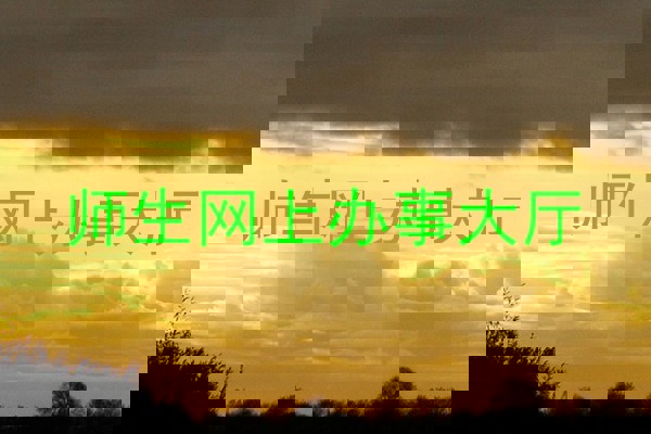 师生网上办事大厅