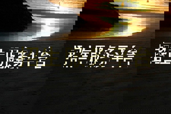 招生服务平台